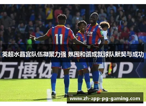 英超水晶宫队伍凝聚力强 氛围和谐成就球队默契与成功