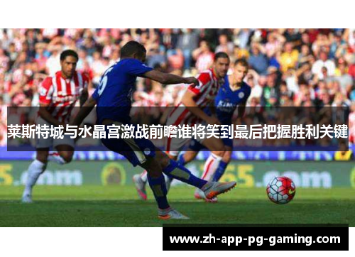 莱斯特城与水晶宫激战前瞻谁将笑到最后把握胜利关键 莱斯特城与水晶宫激战前瞻谁将笑到最后把握胜利关键