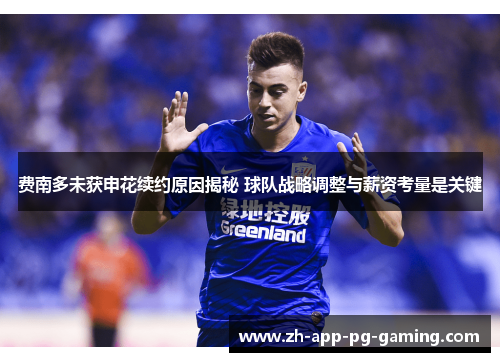 费南多未获申花续约原因揭秘 球队战略调整与薪资考量是关键